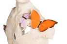 Gentleman Butterfly Dreams Sculpture decorative vase - product gallery view | KULORI