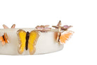 Butterfly Dreams Bowl Decor decorative vase - additional product view | KULORI