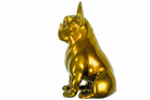 Gold Seated Bulldog sculpture in Chrome finish - alternate product view | KULORI