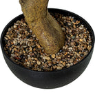 A close-up of a potted bonsai-style tree trunk in a round black cast-iron pot filled with small multicolored pebbles | KULORI Malta & Gozo